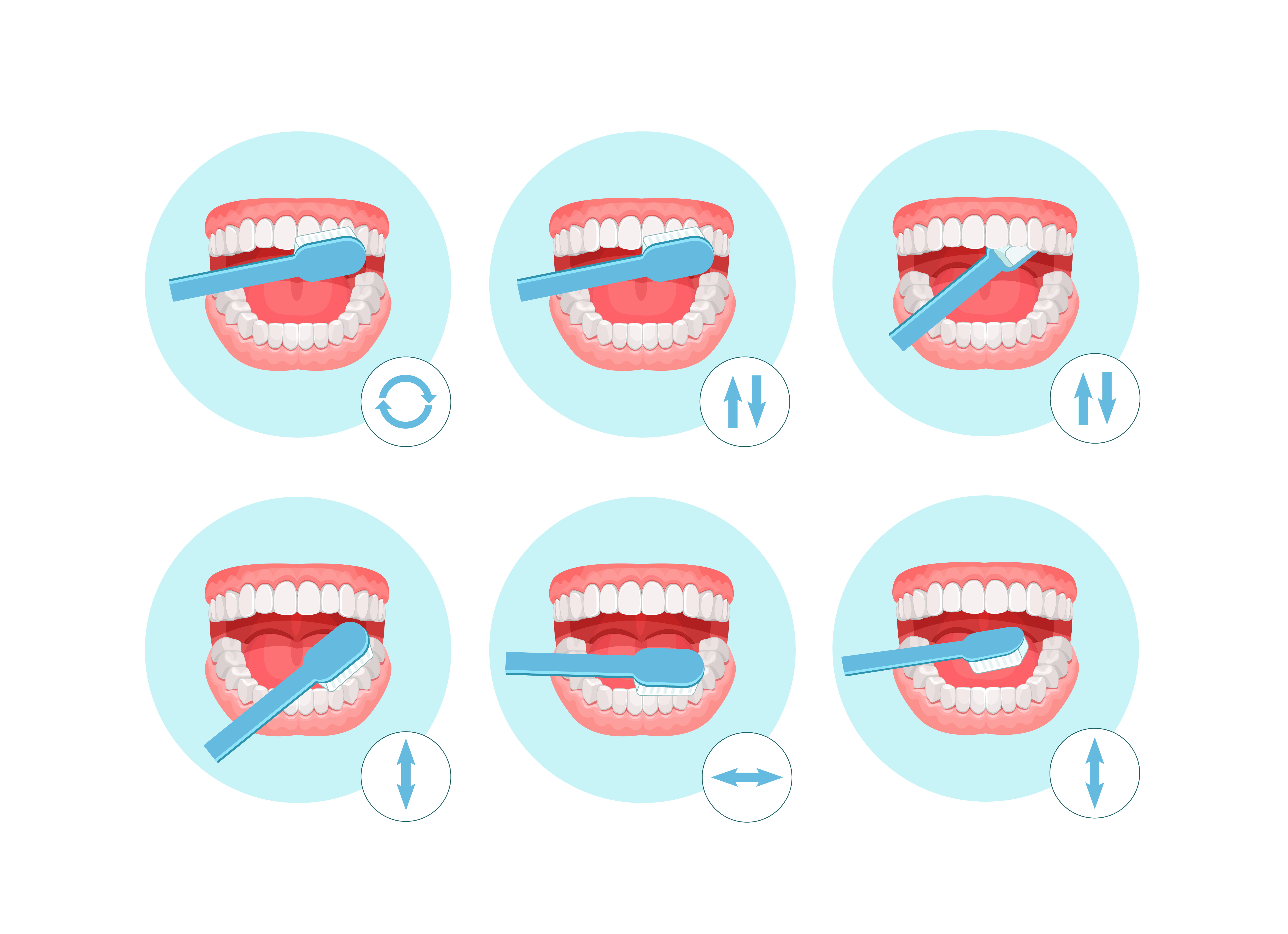 Best Technique for Brushing Teeth - Cleaning Your Teeth